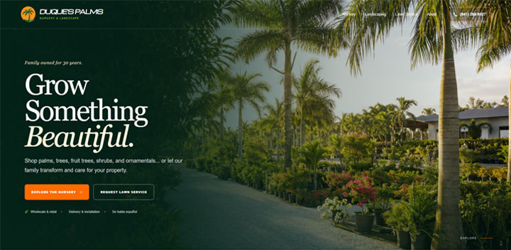 Duque's Palms
